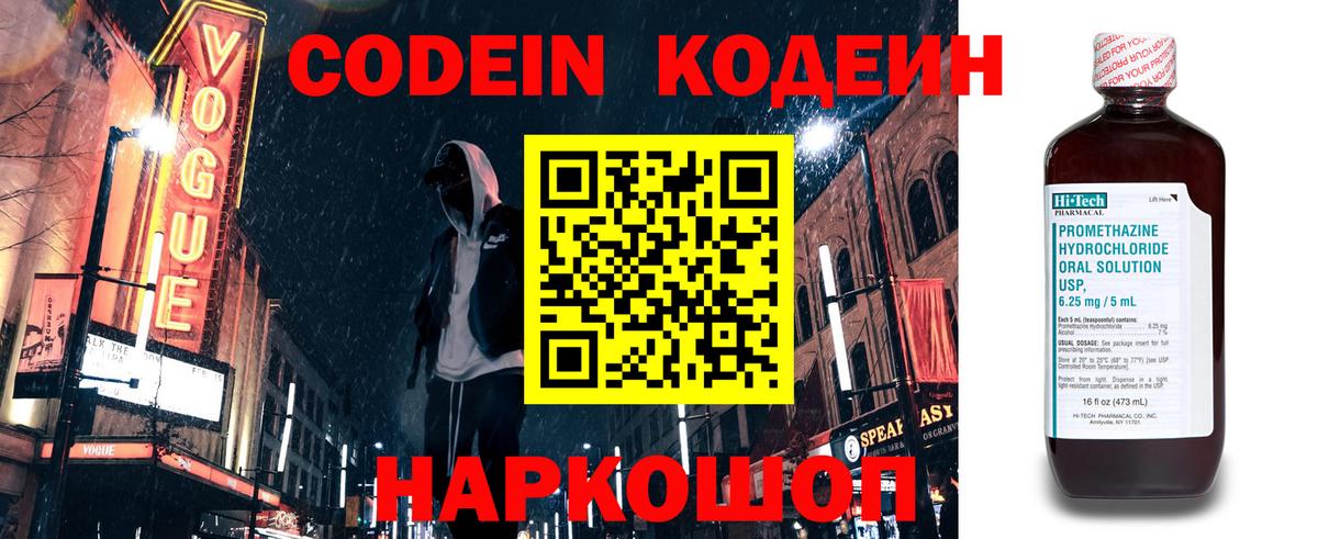 цена наркотик  Вход с VPN  Кодеиновый сироп Lean напиток Lean (лин)  Гусиноозёрск  Codein Purple Drank 